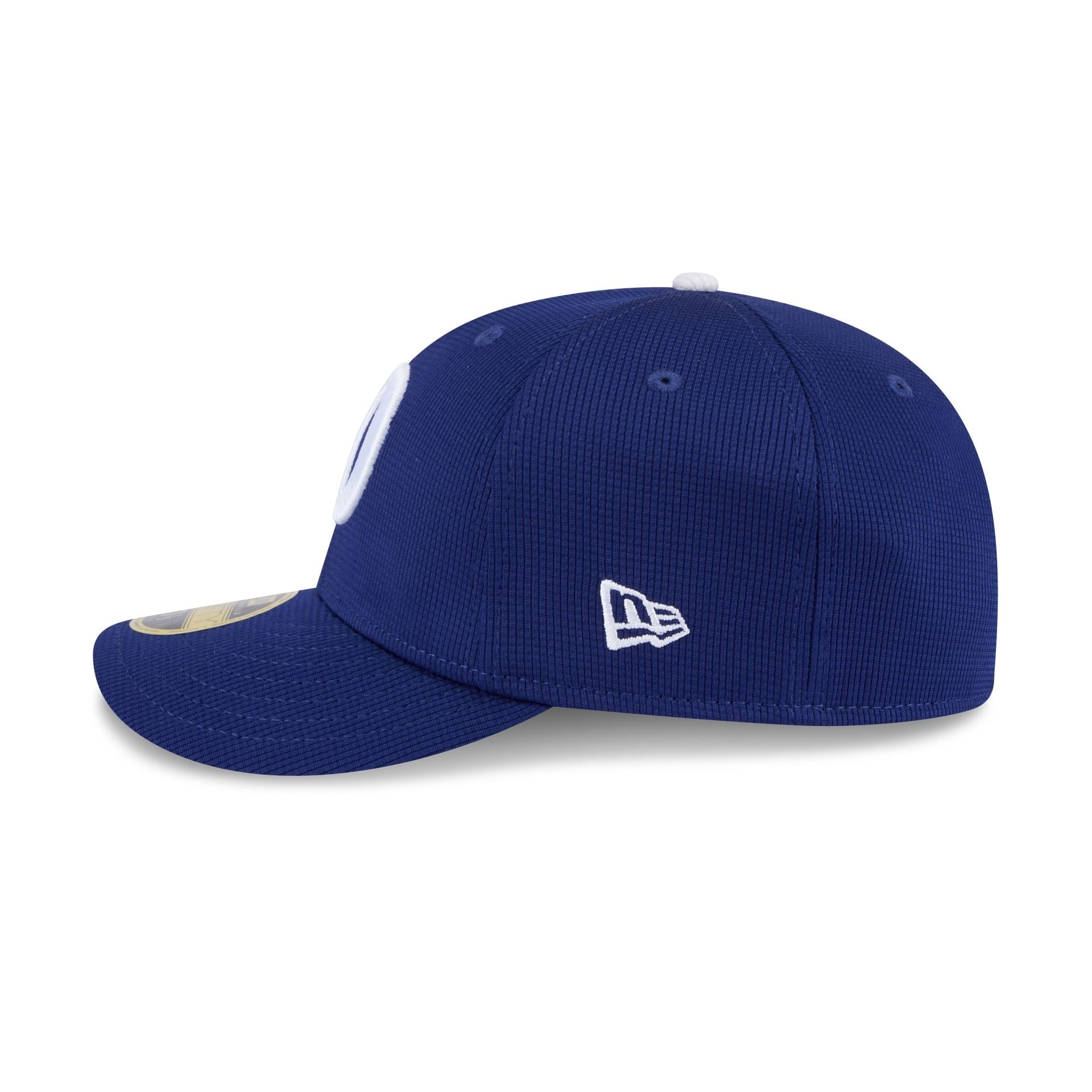 Los Angeles Dodgers 2025 Spring Training Low Profile 59FIFTY Fitted Hat