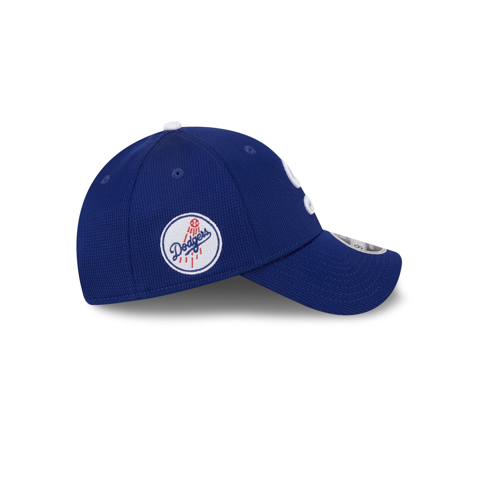 Los Angeles Dodgers 2025 Batting Practice Blue 9FORTY Stretch-Snap Hat