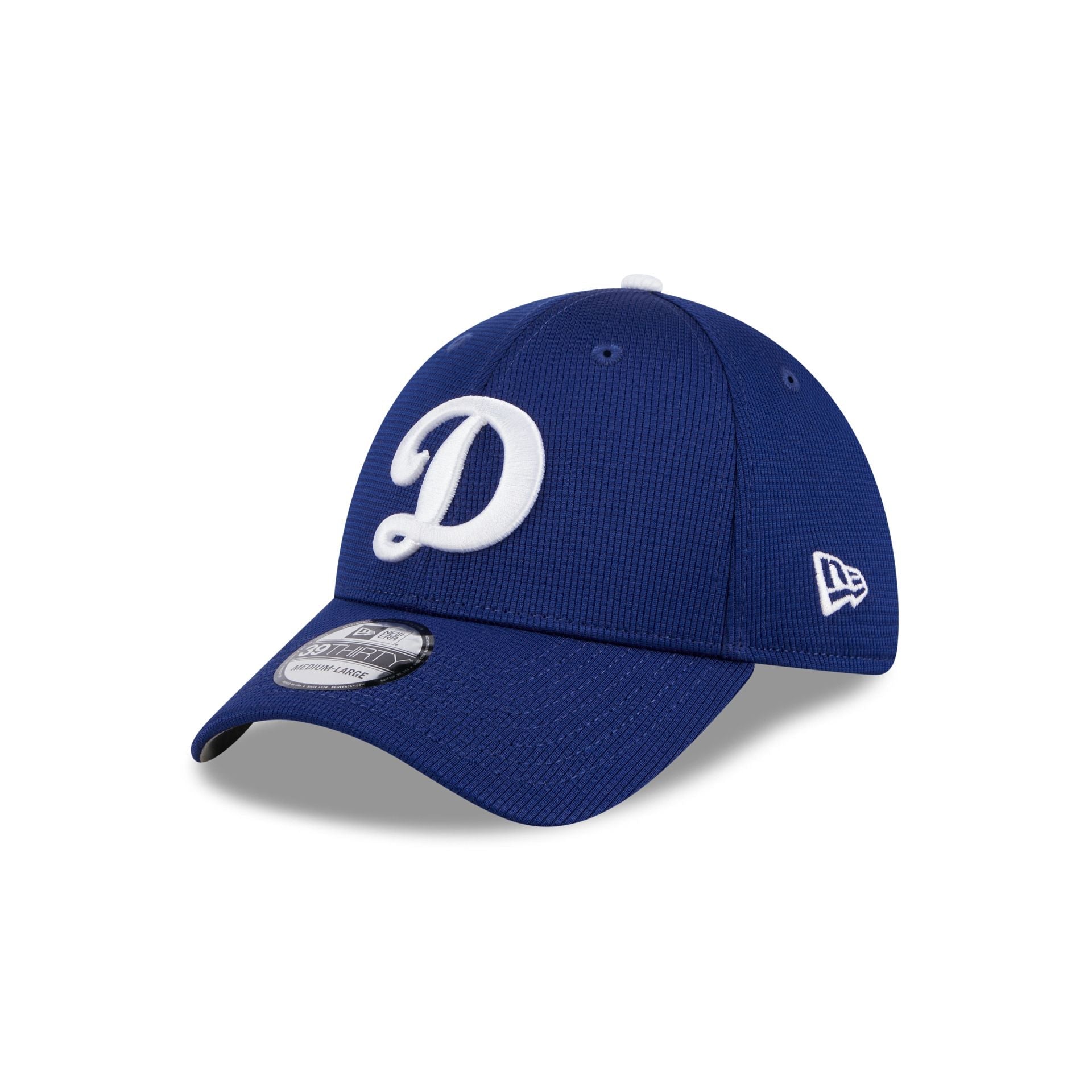 Los Angeles Dodgers 2025 Batting Practice 39THIRTY Stretch Fit
