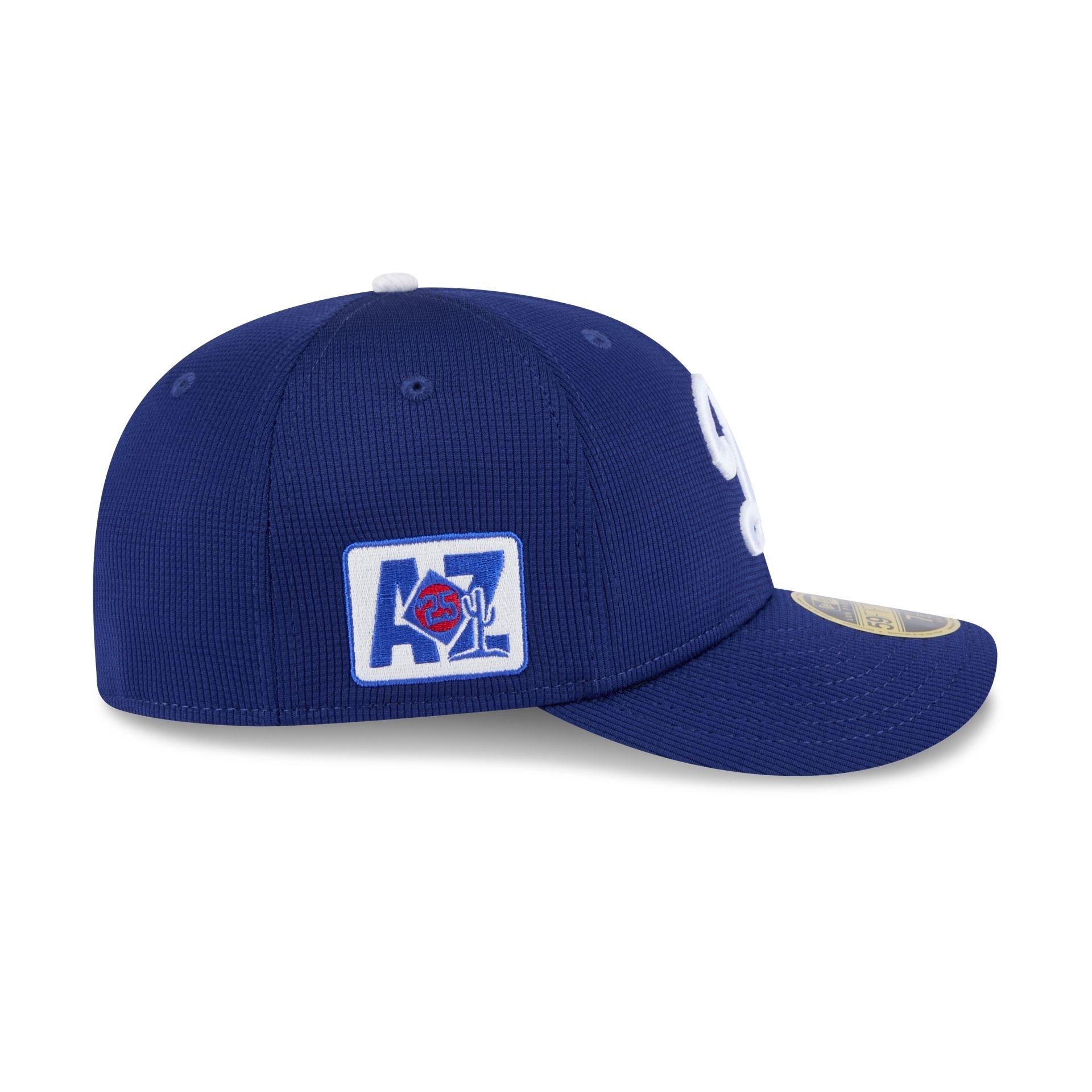 Los Angeles Dodgers 2025 Spring Training Low Profile 59FIFTY Fitted Hat